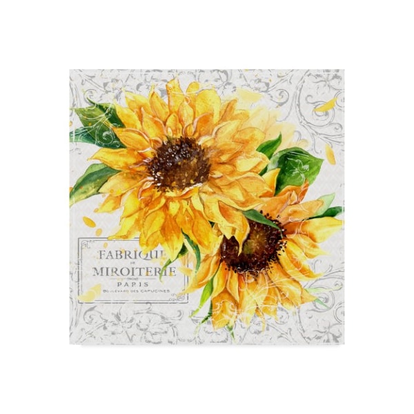 Trademark Fine Art Irina Trzaskos Studio 'Summertime Sunflowers I' Canvas Art, 35x35 - ALI21028-C3535GG