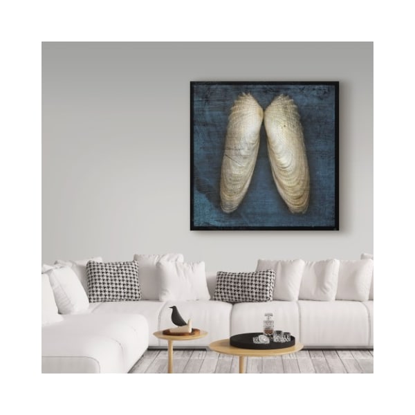 Trademark Fine Art John W. Golden 'Angel Wings' Canvas Art, 35x35 - ALI30632-C3535GG