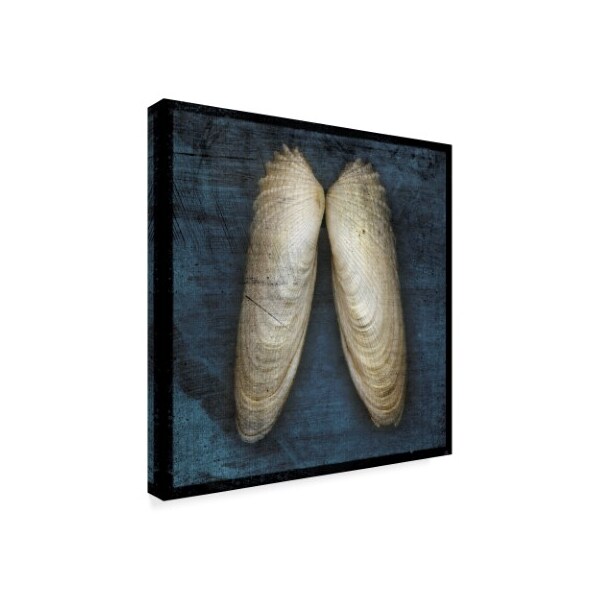 Trademark Fine Art John W. Golden 'Angel Wings' Canvas Art, 35x35 - ALI30632-C3535GG