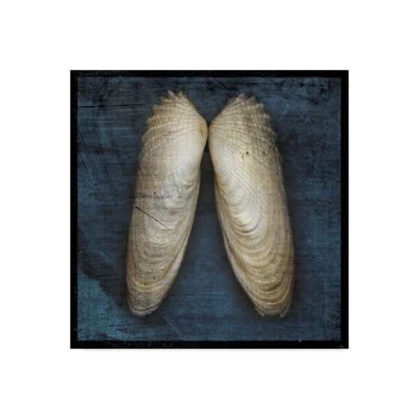 Trademark Fine Art John W. Golden 'Angel Wings' Canvas Art, 35x35 - ALI30632-C3535GG