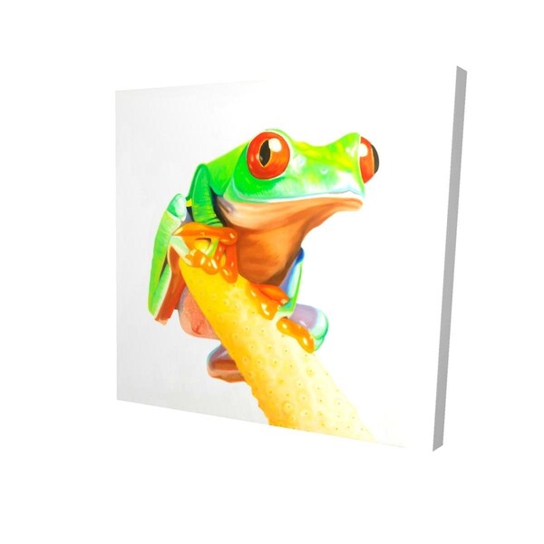 Fondo 16 x 16 in. Curious Red Eyed Frog-Print on Canvas - FO2795155