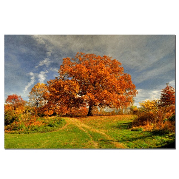 Trademark Fine Art Lois Bryan 'Fall Scene' Canvas Art Ready to Hang!, 24x32 - LBR008-C2432GG