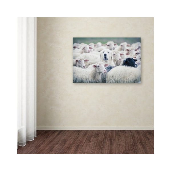 Trademark Fine Art Adrian Popan 'In Disguise' Canvas Art, 12x19 - 1X00533-C1219GG