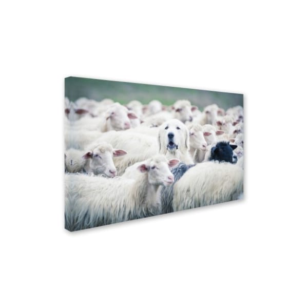 Trademark Fine Art Adrian Popan 'In Disguise' Canvas Art, 12x19 - 1X00533-C1219GG
