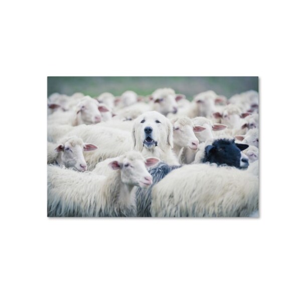 Trademark Fine Art Adrian Popan 'In Disguise' Canvas Art, 12x19 - 1X00533-C1219GG