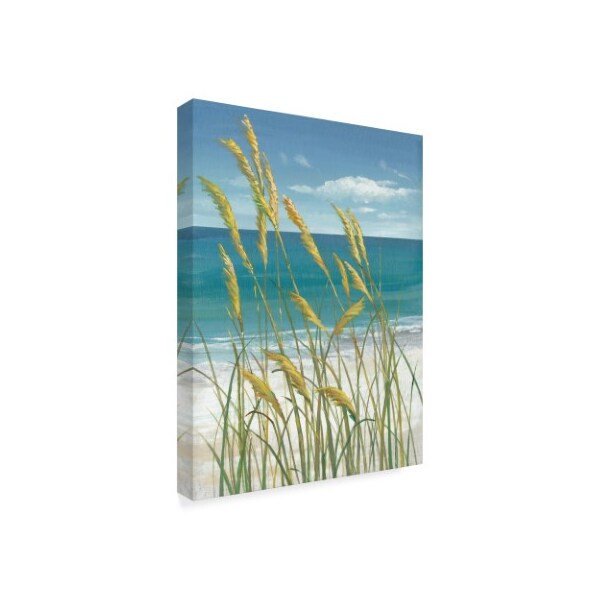 Trademark Fine Art Tim Otoole 'Ua Ch Summer Breeze I' Canvas Art, 18x24 - WAG04511-C1824GG
