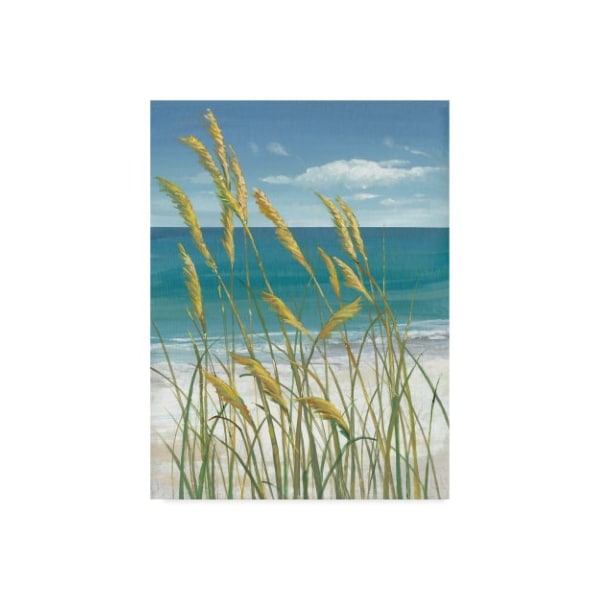 Trademark Fine Art Tim Otoole 'Ua Ch Summer Breeze I' Canvas Art, 18x24 - WAG04511-C1824GG