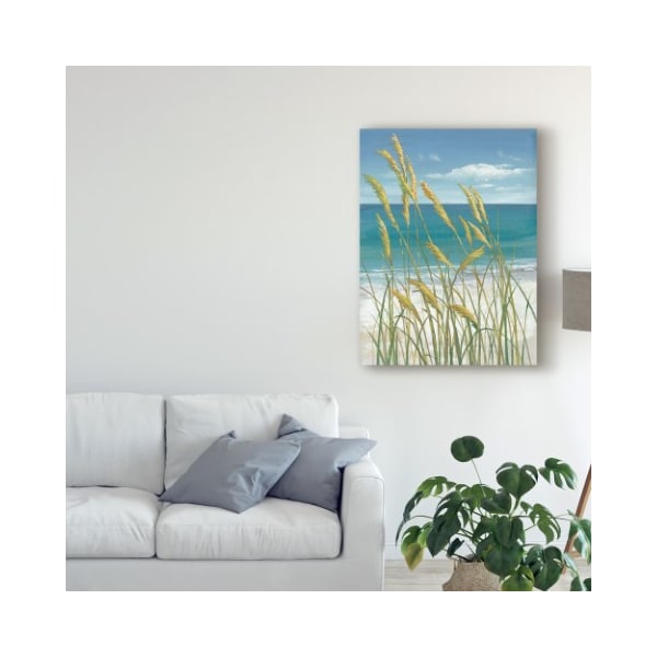 Trademark Fine Art Tim Otoole 'Ua Ch Summer Breeze I' Canvas Art, 18x24 - WAG04511-C1824GG