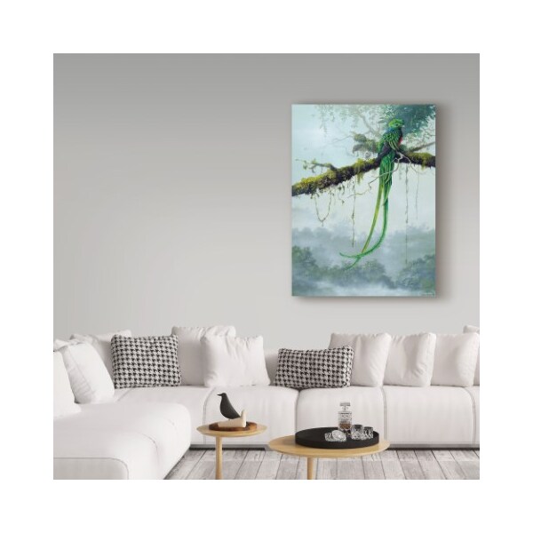 Trademark Fine Art Harro Maass 'Resplendent Quetzal' Canvas Art, 18x24 - ALI35644-C1824GG