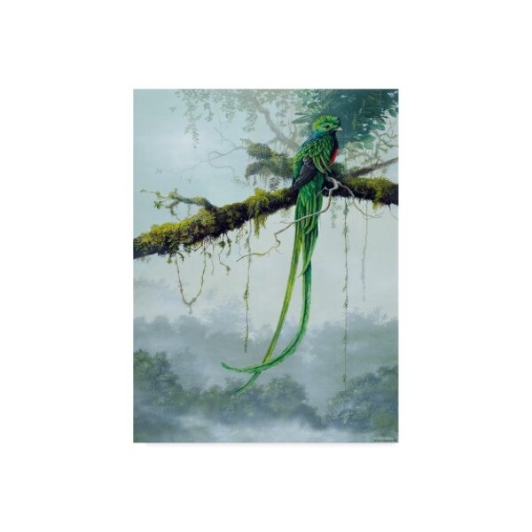 Trademark Fine Art Harro Maass 'Resplendent Quetzal' Canvas Art, 18x24 - ALI35644-C1824GG