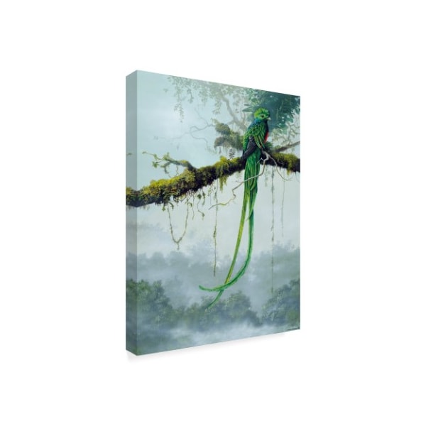 Trademark Fine Art Harro Maass 'Resplendent Quetzal' Canvas Art, 18x24 - ALI35644-C1824GG