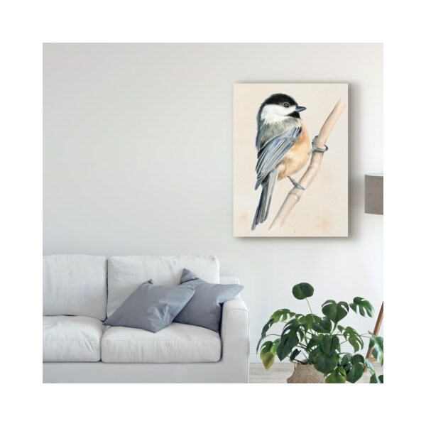 Trademark Fine Art Jennifer Paxton Parker 'Little Bird On Branch Ii' Canvas Art, 24x32 - WAG09541-C2432GG