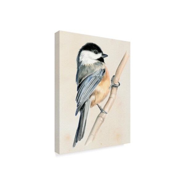 Trademark Fine Art Jennifer Paxton Parker 'Little Bird On Branch Ii' Canvas Art, 24x32 - WAG09541-C2432GG