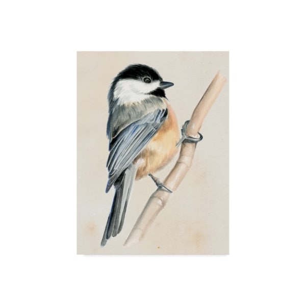 Trademark Fine Art Jennifer Paxton Parker 'Little Bird On Branch Ii' Canvas Art, 24x32 - WAG09541-C2432GG