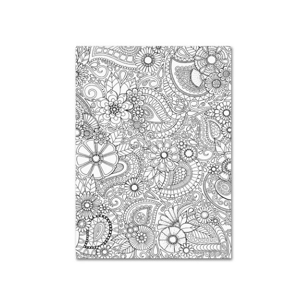 Trademark Fine Art Hello Angel 'Paisley Blooms' Canvas Art, 18x24 - ALI2845-C1824GG