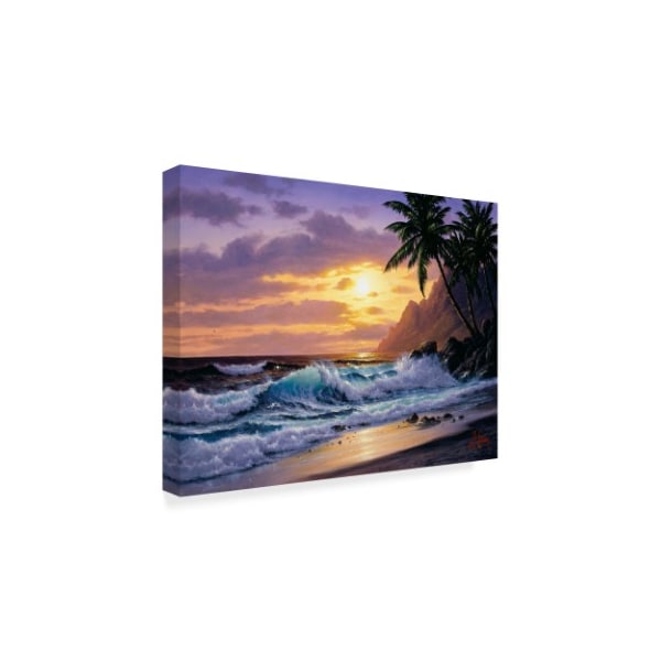 Trademark Fine Art Anthony Casay 'Sunset Beach 3' Canvas Art, 14x19 - ALI20314-C1419GG