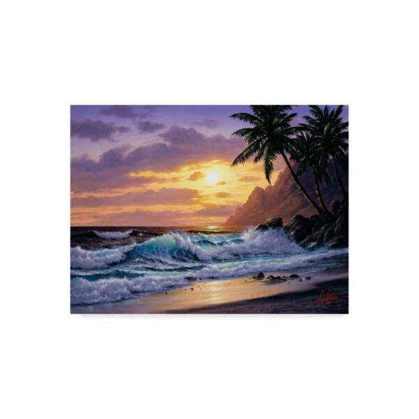 Trademark Fine Art Anthony Casay 'Sunset Beach 3' Canvas Art, 14x19 - ALI20314-C1419GG