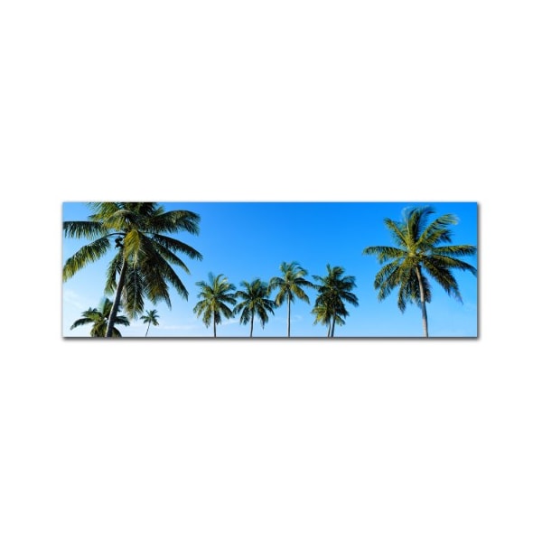 Trademark Fine Art Preston 'Palms' Canvas Art, 6x19 - EM197-C619GG
