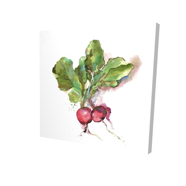 Begin Home Decor 16 x 16 in. Watercolor Radish-Print on Canvas - 2080-1616-GA81
