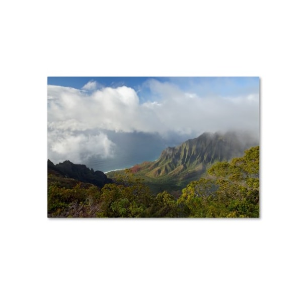 Trademark Fine Art Mike Jones Photo 'Kauai Kalalou Canyon' Canvas Art, 22x32 - ALI17828-C2232GG