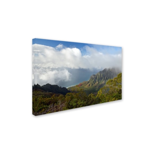 Trademark Fine Art Mike Jones Photo 'Kauai Kalalou Canyon' Canvas Art, 22x32 - ALI17828-C2232GG