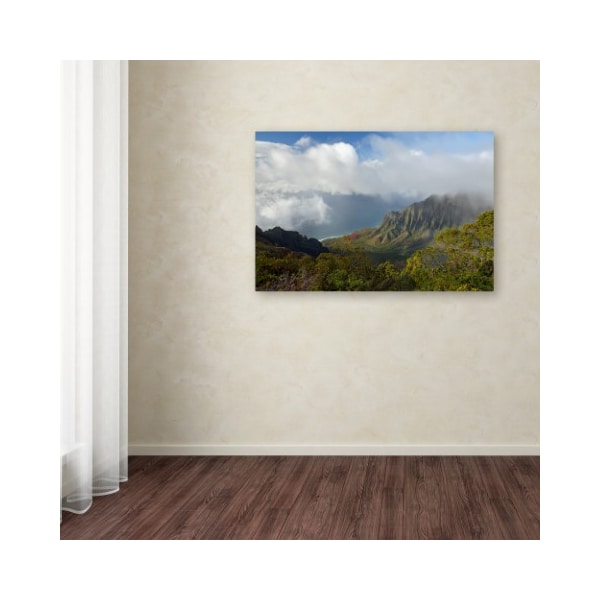 Trademark Fine Art Mike Jones Photo 'Kauai Kalalou Canyon' Canvas Art, 22x32 - ALI17828-C2232GG