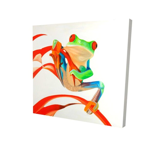 Fondo 32 x 32 in. Red-Eyed Frog-Print on Canvas - FO2795199