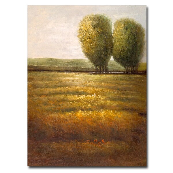 Trademark Fine Art Joval 'In the Country III' Canvas Art, 14x19 - JV0003-C1419GG