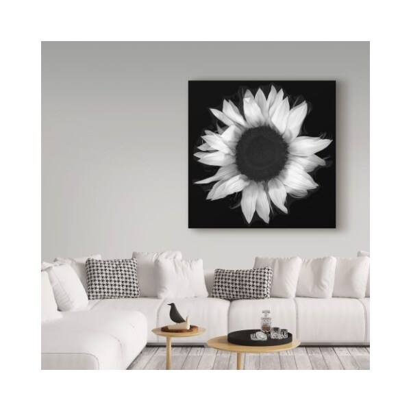 Trademark Fine Art Susan S. Barmon 'Sunflower 1 Black And White' Canvas Art, 35x35 - ALI34314-C3535GG