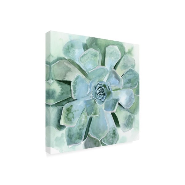Trademark Fine Art Victoria Borges 'Verdant Succulent Iii' Canvas Art, 14x14 - WAG13384-C1414GG