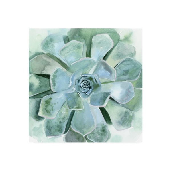 Trademark Fine Art Victoria Borges 'Verdant Succulent Iii' Canvas Art, 14x14 - WAG13384-C1414GG