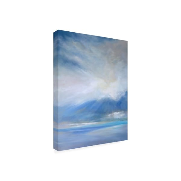 Trademark Fine Art Sheila Finch 'Heavenly Light Triptych Ii' Canvas Art, 35x47 - WAG10187-C3547GG