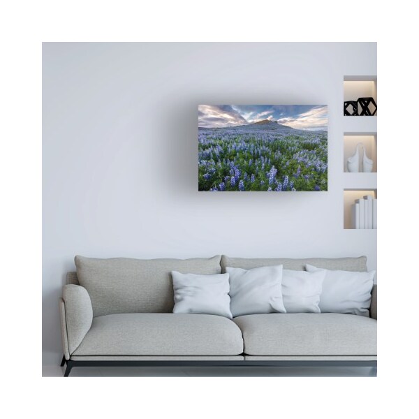 Trademark Fine Art Pierre Leclerc 'Volcano Lupines' Canvas Art, 12x19 - PL00526-C1219GG