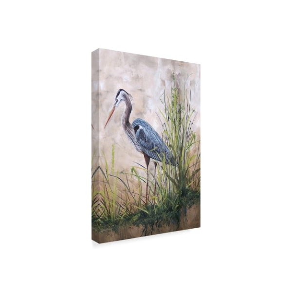Trademark Fine Art Jean Plout 'In The Reeds Blue Heron' Canvas Art, 16x24 - ALI30076-C1624GG