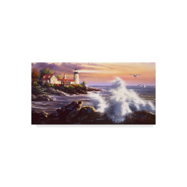 Trademark Fine Art D. Rusty Rust 'Lighthouse Waves' Canvas Art, 10x19 - ALI25852-C1019GG