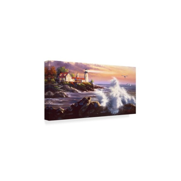 Trademark Fine Art D. Rusty Rust 'Lighthouse Waves' Canvas Art, 10x19 - ALI25852-C1019GG