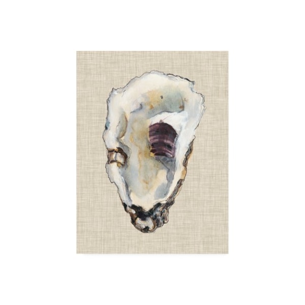 Trademark Fine Art Michael Willett 'Oyster Shell Study Iii' Canvas Art, 18x24 - WAG13772-C1824GG