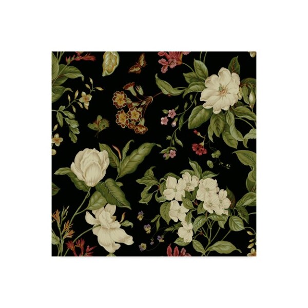 Trademark Fine Art Unknown 'Garden Floral On Black I' Canvas Art, 24x24 - WAG08513-C2424GG