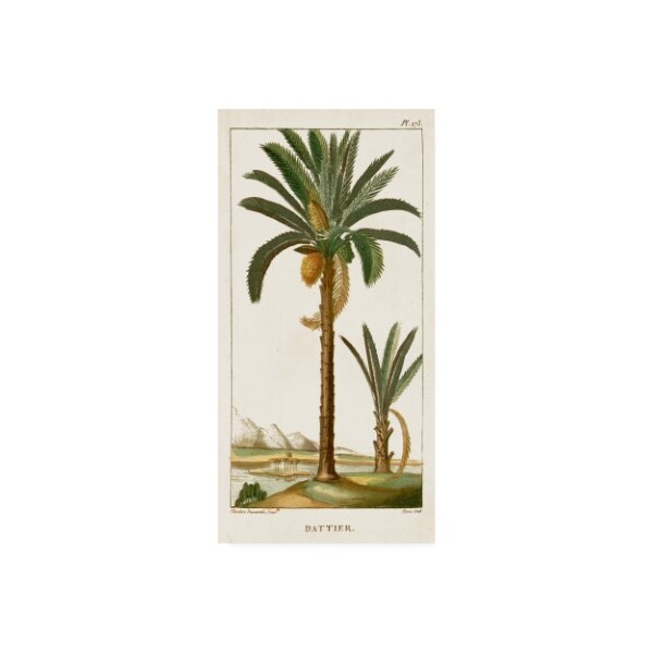 Trademark Fine Art Turpin 'Turpin Exotic Palms Iv' Canvas Art, 12x24 - WAG10253-C1224GG
