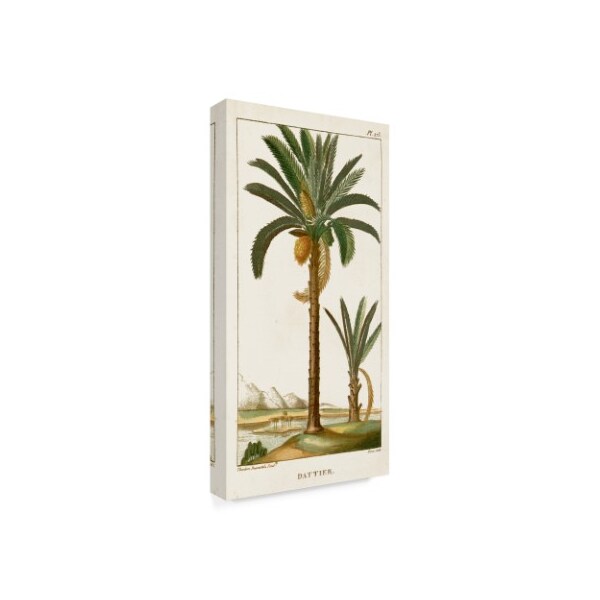 Trademark Fine Art Turpin 'Turpin Exotic Palms Iv' Canvas Art, 12x24 - WAG10253-C1224GG