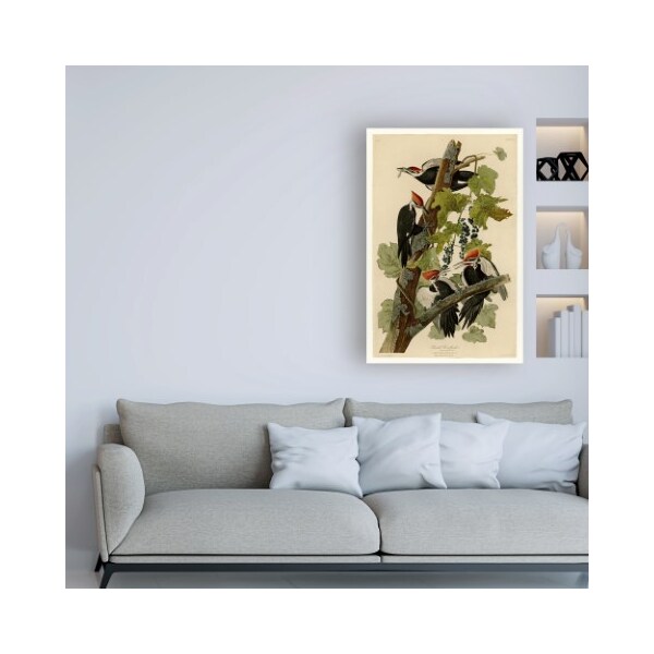 Trademark Fine Art John James Audubon 'Pileated Woodpeckers' Canvas Art, 12x19 - BL01290-C1219GG
