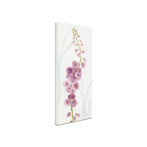 Trademark Fine Art Lisa Audit 'Rainbow Seeds Flowers VII' Canvas Art, 8x19 - WAP0489-C819GG