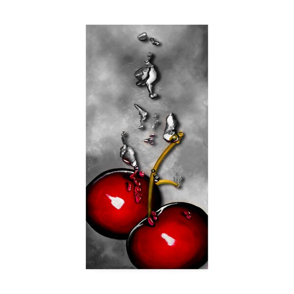 Trademark Fine Art Roderick Stevens 'Cherry Splash over Marble' Canvas Art, 12x24 - RS01309-C1224GG