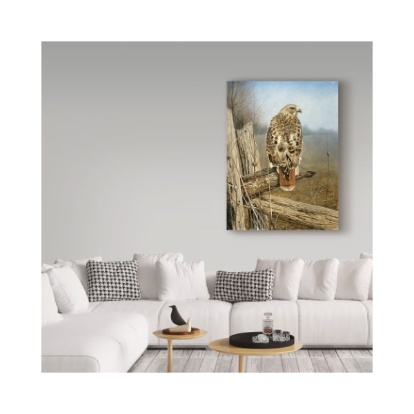 Trademark Fine Art Rusty Frentner 'Red Tailed Hawk' Canvas Art, 14x19 - ALI33210-C1419GG
