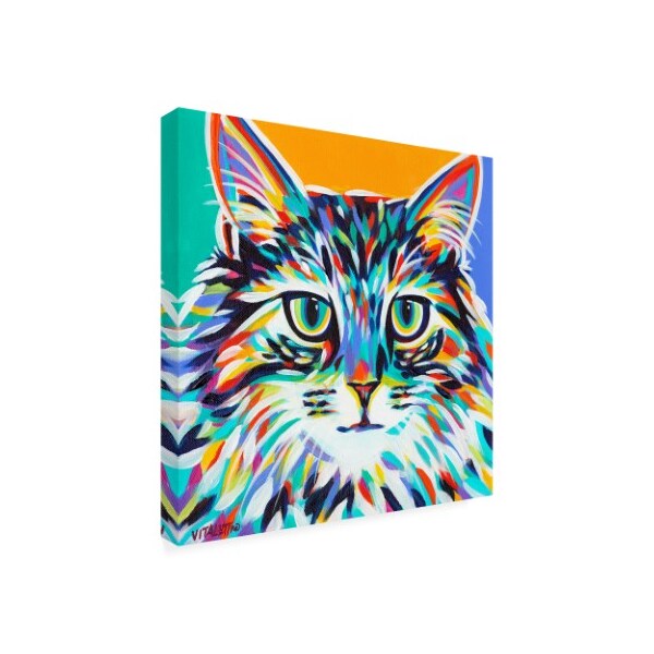 Trademark Fine Art Carolee Vitaletti 'Dramatic Cats I' Canvas Art, 18x18 - WAG11053-C1818GG