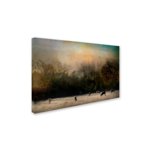 Trademark Fine Art Jai Johnson 'Peaceful Tennessee Morning' Canvas Art, 12x19 - ALI14691-C1219GG