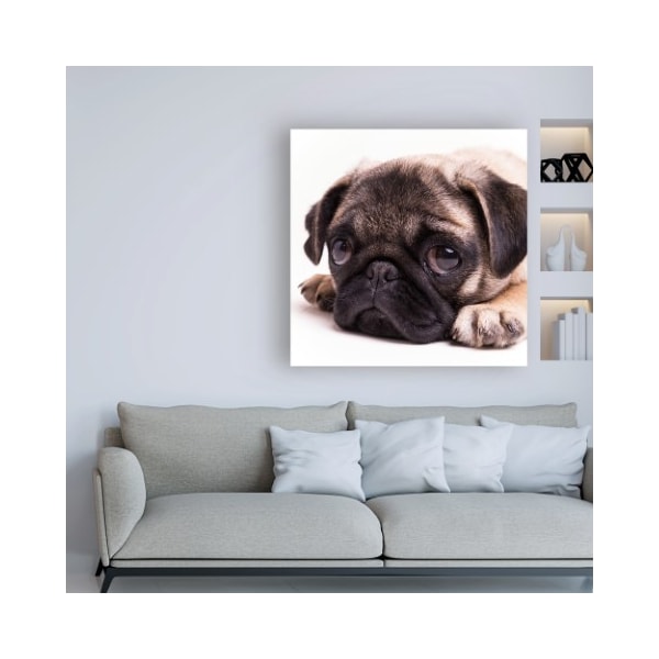 Trademark Fine Art Edward M. Fielding 'Sad Sack Pug' Canvas Art, 18x18 - IC00559-C1818GG
