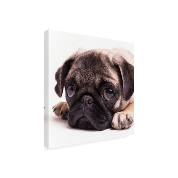 Trademark Fine Art Edward M. Fielding 'Sad Sack Pug' Canvas Art, 18x18 - IC00559-C1818GG