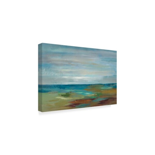 Trademark Fine Art Silvia Vassileva 'Wispy Clouds' Canvas Art, 30x47 - WAP06723-C3047GG
