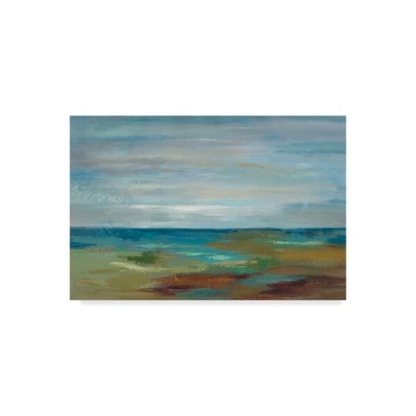 Trademark Fine Art Silvia Vassileva 'Wispy Clouds' Canvas Art, 30x47 - WAP06723-C3047GG